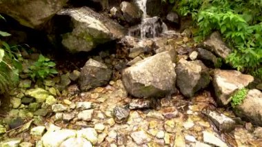 Ferahlatıcı çeşmeden gelen küçük bir su akıntısı veya şelale huzur verici bir kavram olarak cennet kıyısı ve zen meditasyon ve stres giderme için meditasyon havuzu, doğa