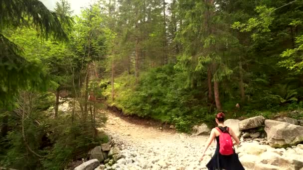 Couple Friends European Girl Indian Man Hiking Rocky Trails Trek — Stock Video