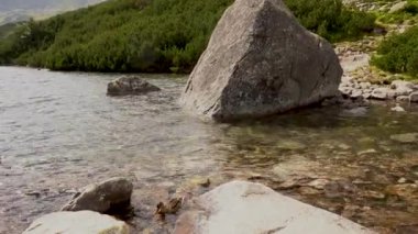 Yüksek Tatra Dağları 'ndaki kristal mavi dağ Wielki Staw, Polonya' nın beş Ponds Vadisi Dolina Pieciu Stawow Polskich 'inden birinde sonbaharda bir ördek yüzer, Polonya, Avrupa