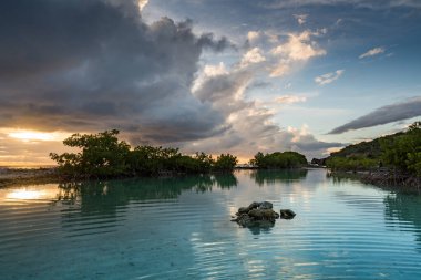 Karayip adası Curacao 'nun manzarası