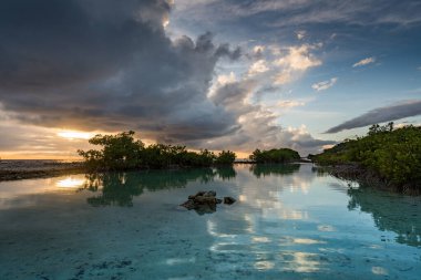 Karayip adası Curacao 'nun manzarası