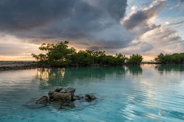 Karayip adası Curacao 'nun manzarası
