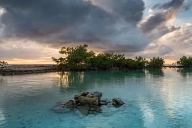 Karayip adası Curacao 'nun manzarası