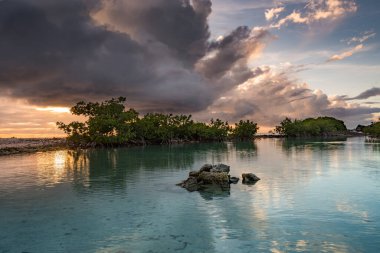 Karayip adası Curacao 'nun manzarası