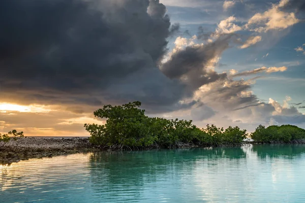 Karayip adası Curacao 'nun manzarası