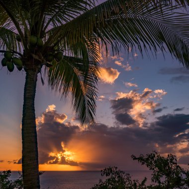 Karayip adası Curacao 'nun manzarası