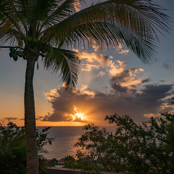 Uitzicht Het Caribische Eiland Curacao — Stockfoto