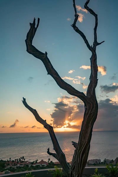 Vistas Redor Ilha Caribenha Curaçao — Fotografia de Stock