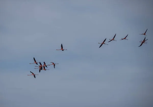 Utsikt Över Den Karibiska Curacao — Stockfoto