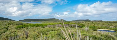 Dağların tepesine bak.