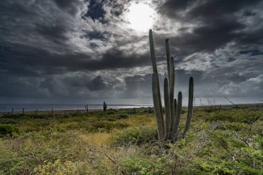 Doğanın güzel manzarası