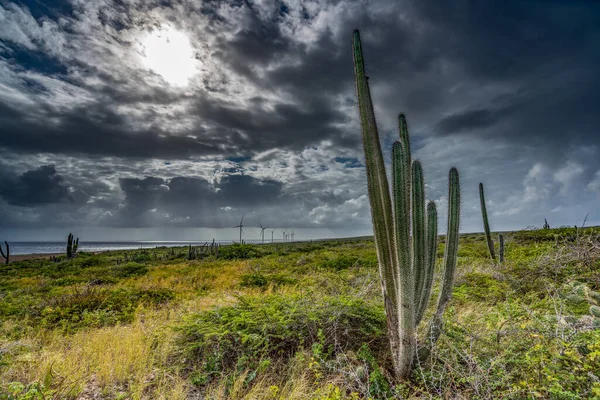 Doğanın güzel manzarası