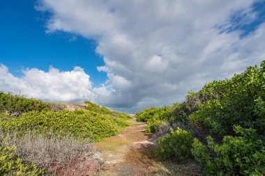 Karayip adası Curacao 'nun manzarası
