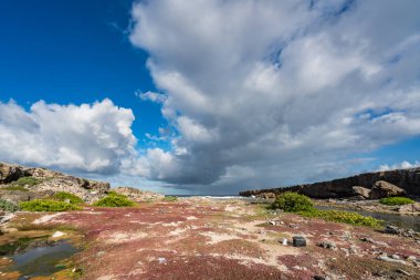 Karayip adası Curacao 'nun manzarası