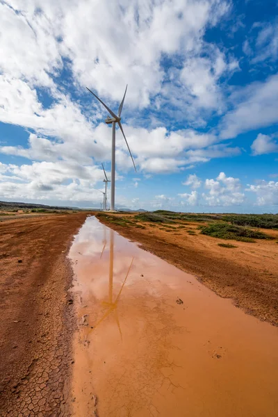 Wind Turbines Beach — Stock Photo, Image