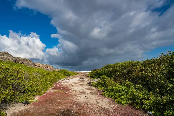 Околиці Карибського Острова Куракао — стокове фото