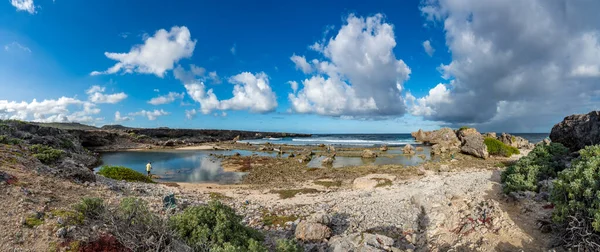 Utsikt Øya Curacao Karibia – stockfoto