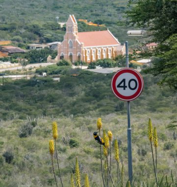 Dağlarda yol tabelası