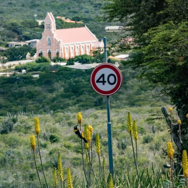 Dağlarda yol tabelası