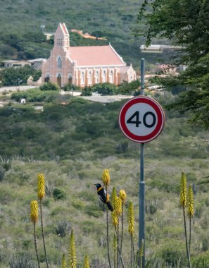 Dağlarda yol tabelası