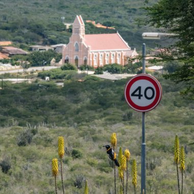 Dağlarda yol tabelası
