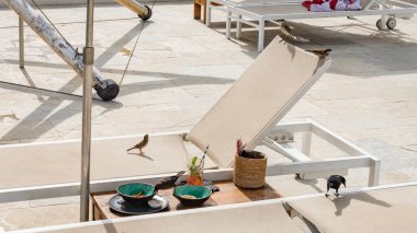 Beyaz bir plaka ve sandalyeyle tahta bir bankın dikey görüntüsü.