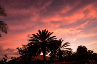 Denizin üzerinde güzel bir gün batımı