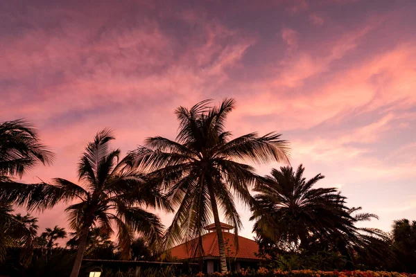 Hermoso Atardecer Sobre Mar —  Fotos de Stock