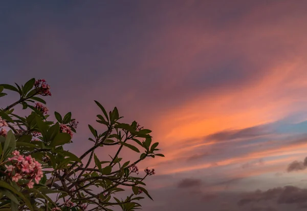 海の上の美しい夕日 — ストック写真