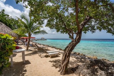 Mavi gökyüzü olan güzel tropikal plaj