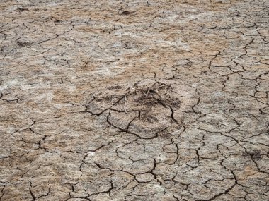 kuru çatlak zemin dokusu