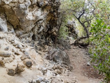 Doğanın güzel manzarası