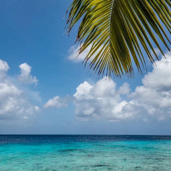 Vistas Desde Isla Caribeña Curazao — Foto de Stock