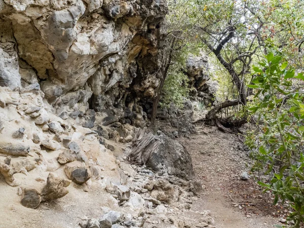 Doğanın güzel manzarası