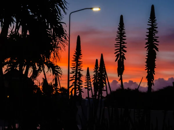 Magnifique Coucher Soleil Dans Les Montagnes — Photo