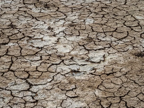 Droge Gebarsten Bodem Textuur Achtergrond Stockfoto