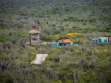 Curacao 'nun güzel manzarası
