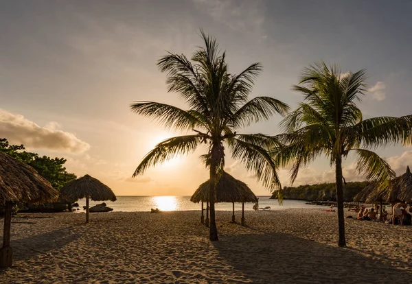 Vacker Tropisk Strand Med Palmer — Stockfoto