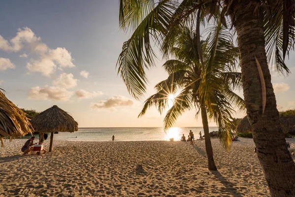 Vacker Strand Med Palmer Och Sand — Stockfoto