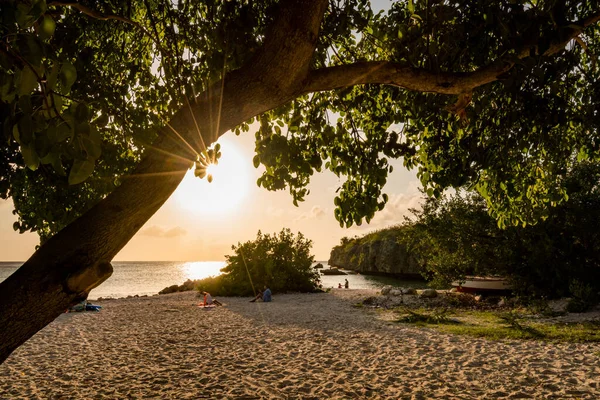 Vacker Tropisk Strand Med Träd Och Hav — Stockfoto