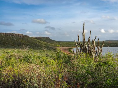 Karayip adası Curacao 'nun manzarası