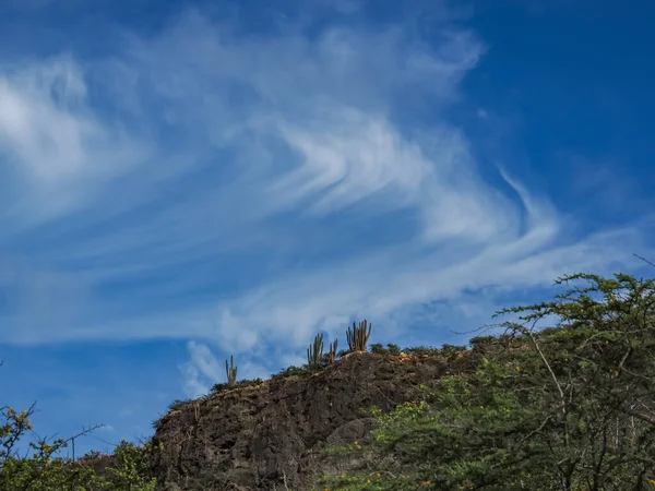 Výhled Karibský Ostrov Curacao — Stock fotografie