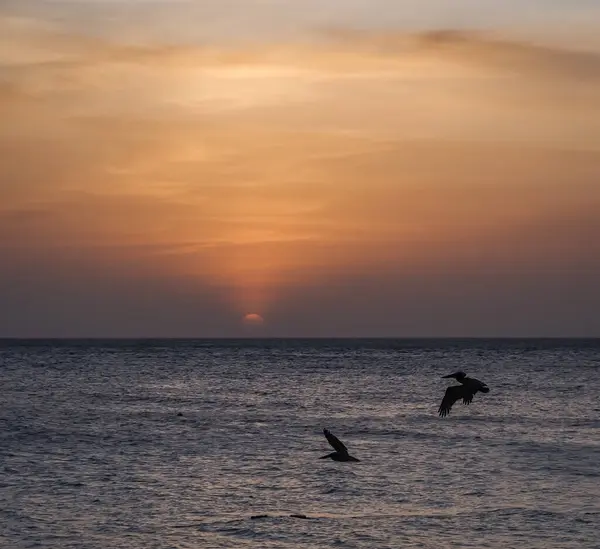 Vistas Isla Caribeña Curazao — Foto de Stock