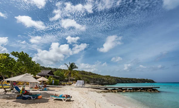 Vacker Tropisk Strand Med Palmer Och Blå Himmel — Stockfoto