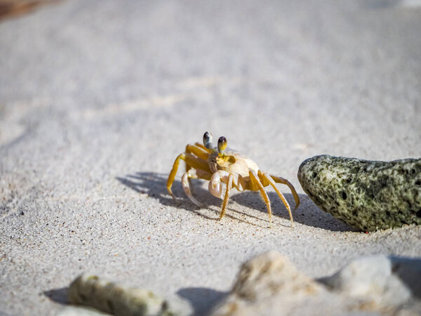 Вид на Карибский остров Кюрасао 