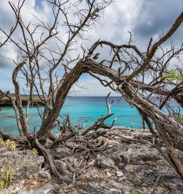 Karayipler 'in Bonaire Adası' nın manzarası
