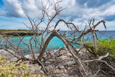 Karayipler 'in Bonaire Adası' nın manzarası