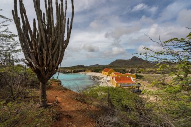 Karayipler 'in Bonaire Adası' nın manzarası