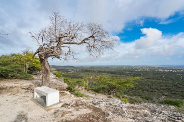 Karayipler 'in Bonaire Adası' nın manzarası