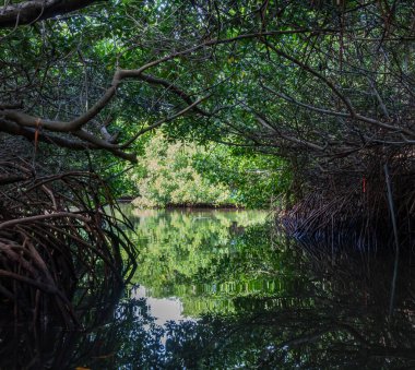 Karayipler 'in Bonaire Adası' nın manzarası
